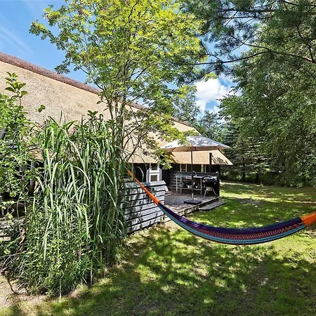 0314-romo-kliren-3 Vesterhede