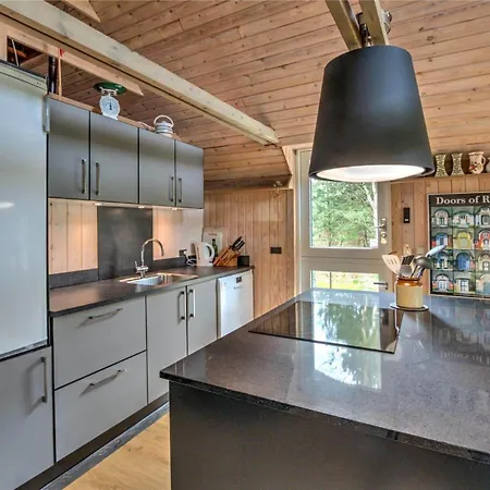 0314-romo-kliren-3 * Vesterhede